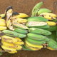 Image for article titled If You Want a Glimpse of the Future Food Wars, Look to Hawaii